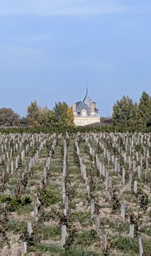 Le marais d'Arcins - Cyrill - 7