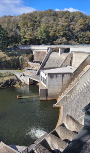 Balade autour du barrage de Mervent - Katherina - 4