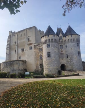 Déconnexion en nature de Nogent-le-Rotrou à Saint-Jean-Pierre-Fixte - Laure - 4