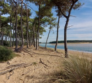 Moeras, oesterpark, strand van Veillon... - Thierry - 3