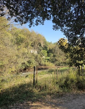 Le long de la Touloubre à Cornillon-Confoux - Camille  - 8