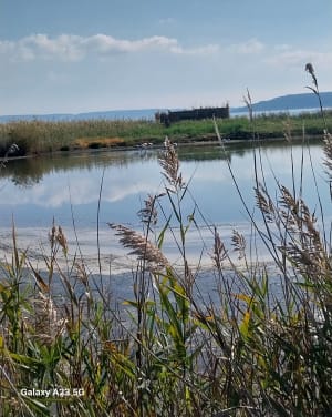 Heerlijke wandeling langs de rand van de Petite Camargue - CHRISTINE - 7