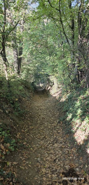 Le Garon plus petite boucle boisée à la Côte - Lyes - 5