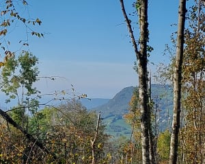 Sur les hauteurs d'Ayn et ruines du château de Montbel - Sebastien - 6