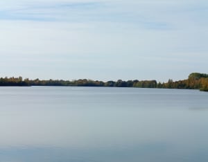 Étang du domaine des Ténières - Florent - 6