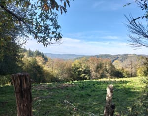 Le château du Doux - Nath - 5