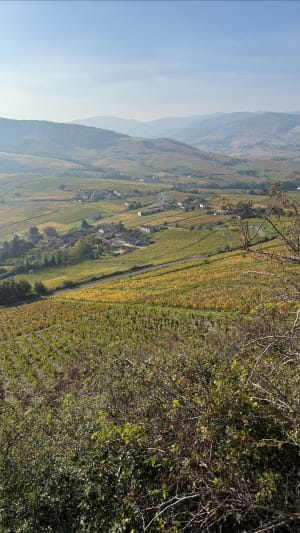 Petite rando autour d Odenas, 10km - Anthony - 11