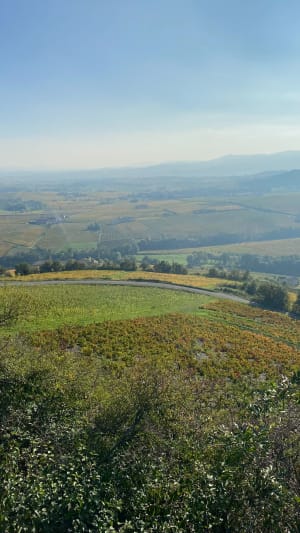 Petite rando autour d Odenas, 10km - Helene - 8
