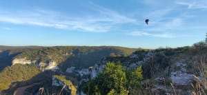 Cirque de Bône - Diane - 6