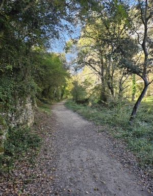 Le long de la Touloubre à Cornillon-Confoux - Camille  - 7