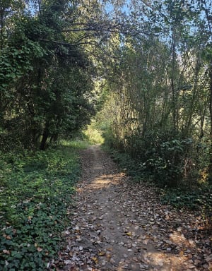 Le long de la Touloubre à Cornillon-Confoux - Camille  - 9