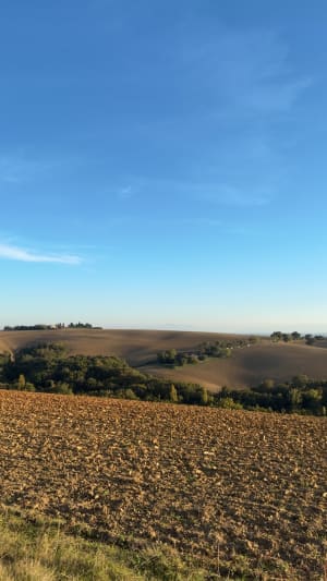 Lacroix-Falgarde aan de oevers van de Ariège - Bahaa - 2