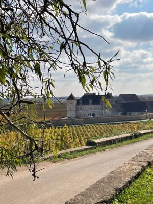 La côte dorée du Clos Vougeot à Morey-Saint-Denis - Rouard - 6