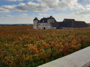 La côte dorée du Clos Vougeot à Morey-Saint-Denis - Rouard - 8