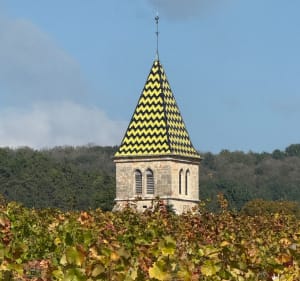 Sentier des crêtes entre Gevrey-Chambertin et Fixin - Lionel - 5