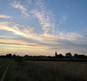 Reuver-Beesel - Lize - 3