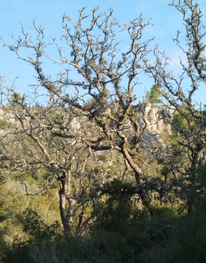 Gouffre de l'œil doux - MARC - 3