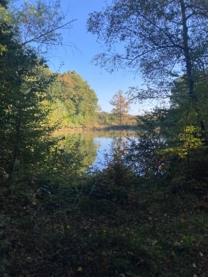 Balade au Bois de Bonne Eaux - Cedric - 9