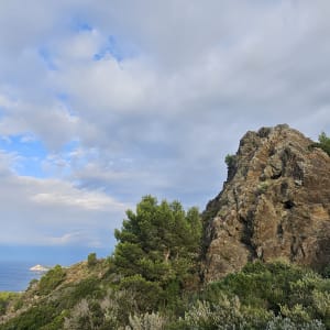 Le Quicon - Maxime - 5