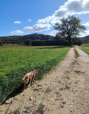 Boucle de Montfort - Helene - 3