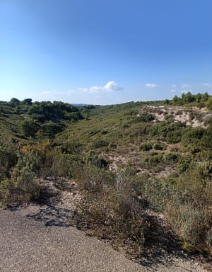 Pic de l'Étoile depuis la Batarelle à Marseille - liam - 2