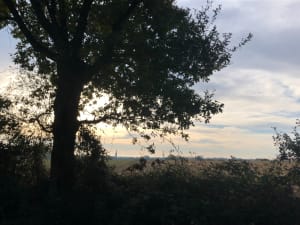 Circuit 11 km autour de La Mothe-Achard - Céline - 3
