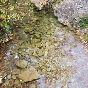 Balade autour de Rochecolombe - Aurore - 7