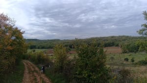 Promenade autour de la voie Gallo-Romaine - Anne-gaëlle - 2