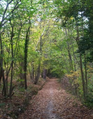 VTT vallée de la Risle - Romi - 2