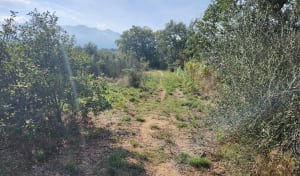 La Voie Romaine dans les coteaux de St Jean et de Banyuls - Mathieu  - 4