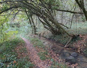 Rando entre forêt, étangs et champs Rouziers Beaumont - Hélène  - 3
