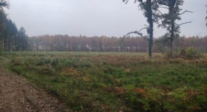 Balade à Perriers-la-Campagne - Jennifer - 6