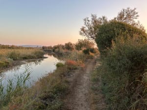 Frontignan - Les salins - Aurelie - 6