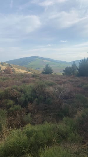 Balade depuis Châteauneuf et explorer le parc du Pilat - Maud - 2