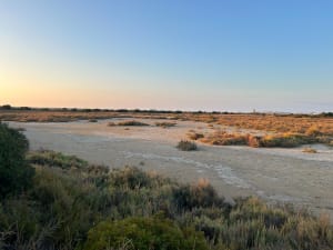 Frontignan - Les salins - Aurelie - 4