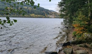 Echappée en forêt de Gérardmer et cascades mélodieuses - Stephane - 3