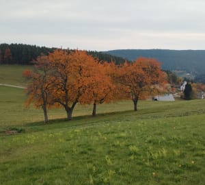 Des Hautes Huttes au Altenkreahkopf - Aurélie - 6
