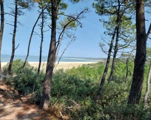 Marche à  la pointe Espagnole. - stephane - 7