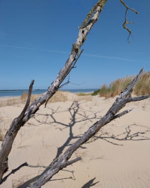 Marche à  la pointe Espagnole. - stephane - 10