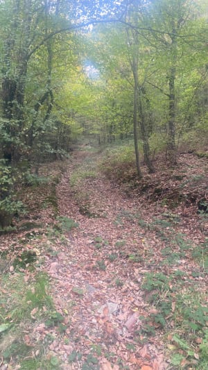 Balade depuis Châteauneuf et explorer le parc du Pilat - Maud - 3