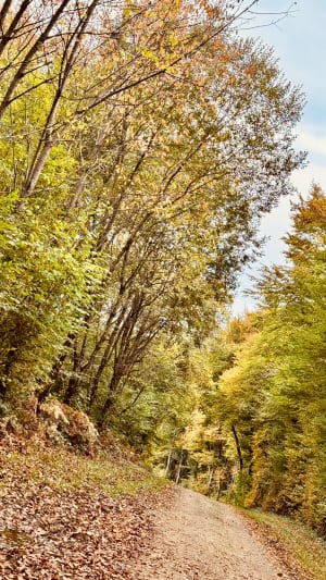Mont de Chaze et sentier découverte de Mantry - Laurence - 8