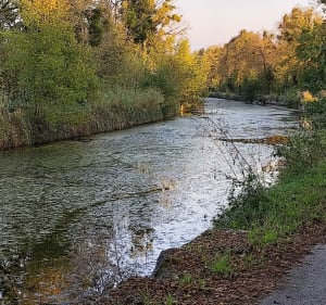9 kilomètres autour de Brognard - Thierry - 2