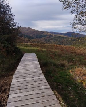 Picou-wandeling - Thomas - 8