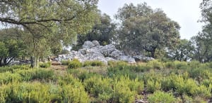 Sur les traces de Decauville - Les Mayons - Sophie - 5