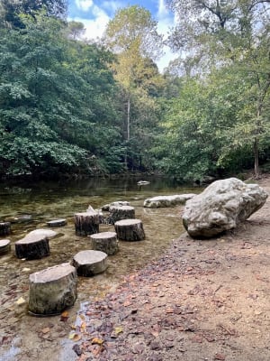 Balade aux rives du Loup et au plateau de Montmeuille - Gérard - 5