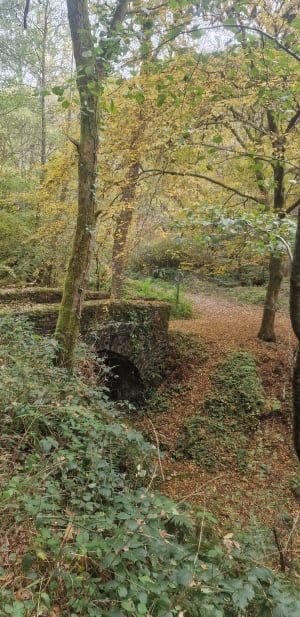 Agnac par le château de Pagax - Lucille - 7