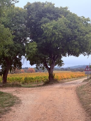 Rando Brouzet-lès-Quissac - nasser - 2