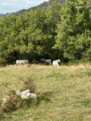 Rocher de Julie - Anouar - 7