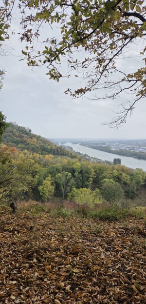 Boucle entre Bonsecours et Amfreville - Cile - 6