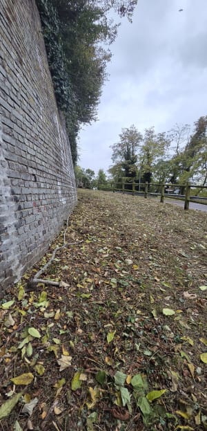 Boucle entre Bonsecours et Amfreville - Cile - 7